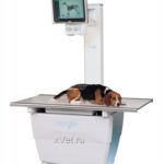 Sedecal Neovet V - цифровой ветеринарный рентгеновский аппарат