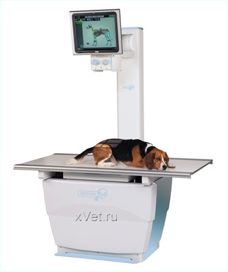 Sedecal Neovet V - цифровой ветеринарный рентгеновский аппарат